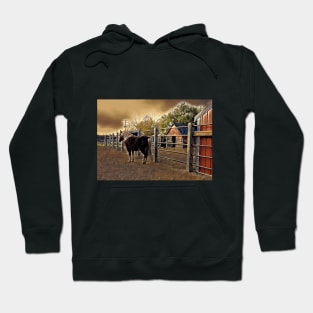 Small Horse and Barns 1B Hoodie